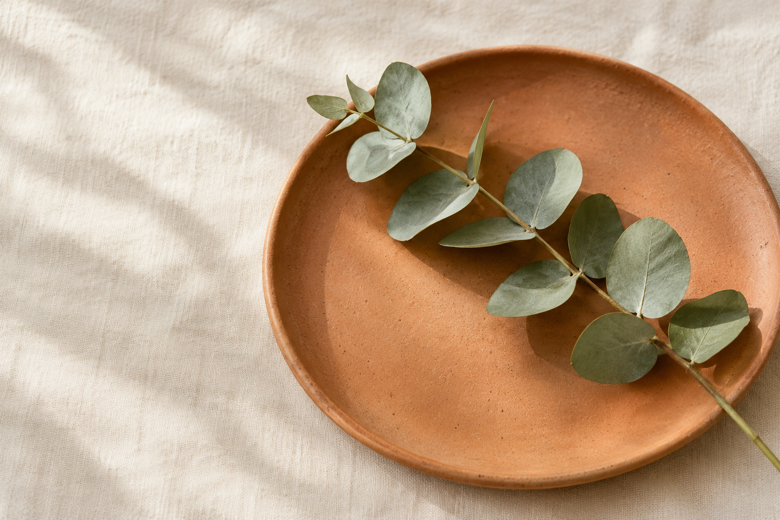 Eucalyptustak op een terracotta bord op linnen